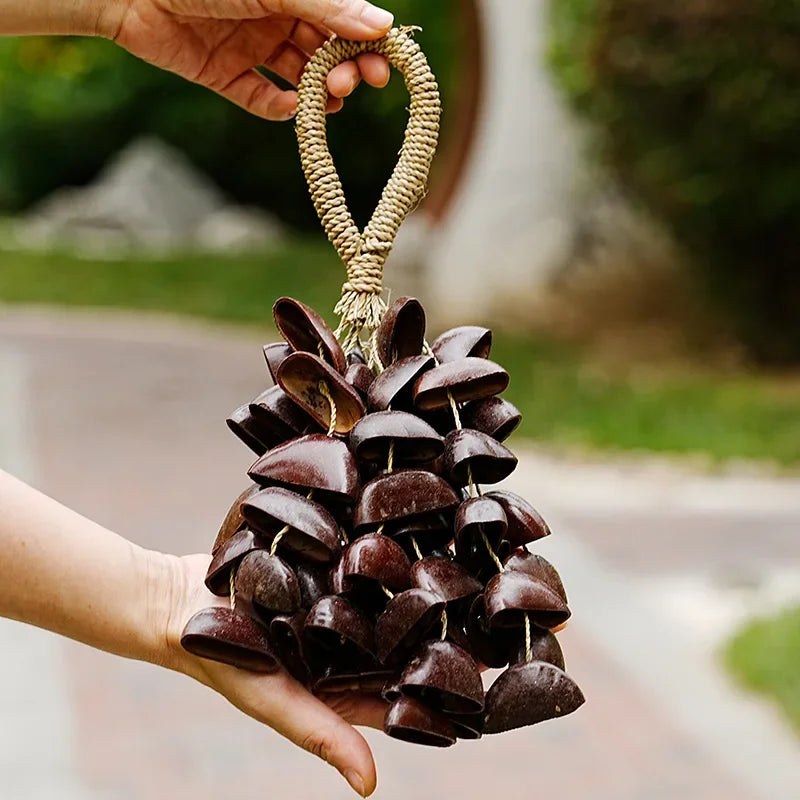 Fay bendiga a la campana de agitador de frutas naturales: campanillas de viento de diapasón artesanales para meditación, yoga, curación de sonido y educación musical