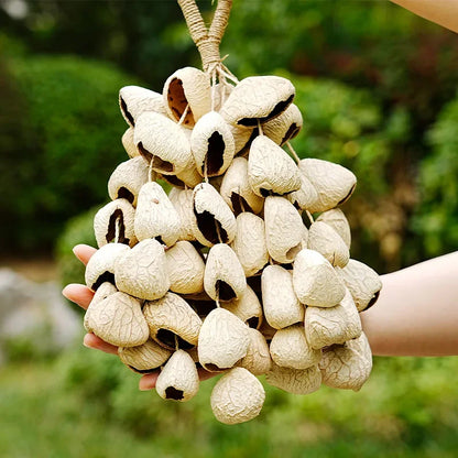 Fay bendiga a la campana de agitador de frutas naturales: campanillas de viento de diapasón artesanales para meditación, yoga, curación de sonido y educación musical