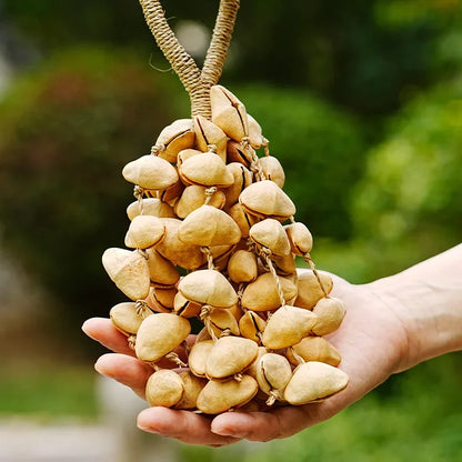Fay bendiga a la campana de agitador de frutas naturales: campanillas de viento de diapasón artesanales para meditación, yoga, curación de sonido y educación musical