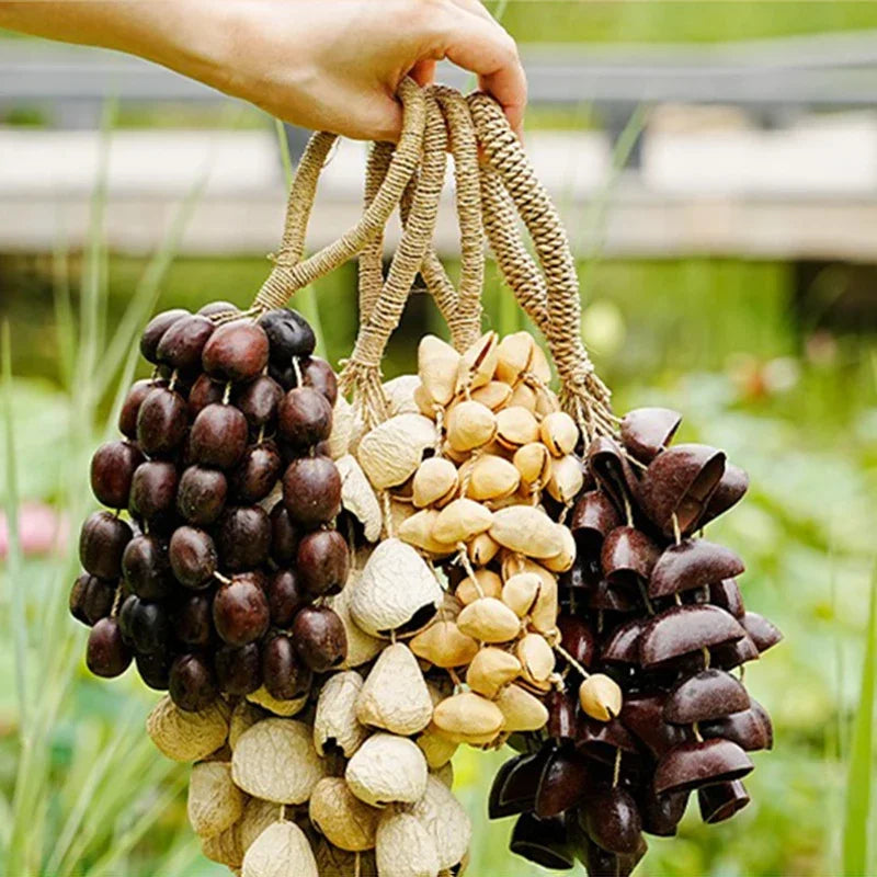 Fay bendiga a la campana de agitador de frutas naturales: campanillas de viento de diapasón artesanales para meditación, yoga, curación de sonido y educación musical